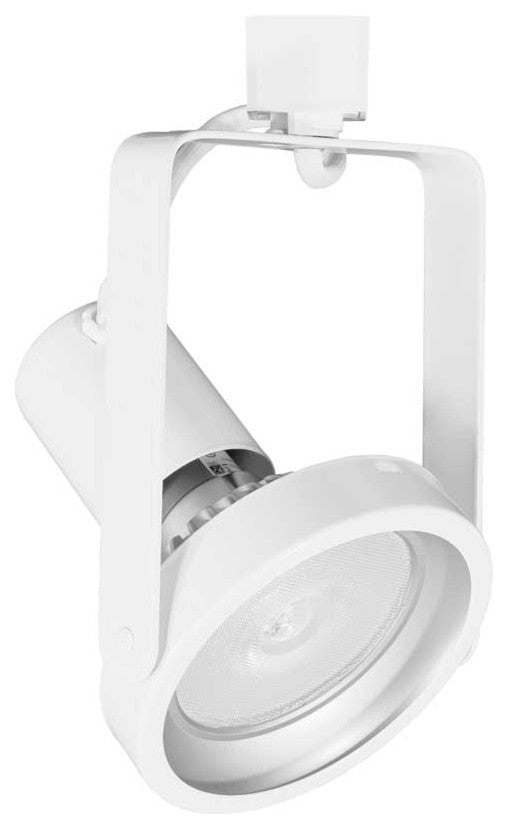 1- Light PAR38 Gimbal Line Voltage Track Head