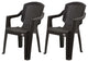 Calista Outdoor Patio Chairs, Set of 2, Brown