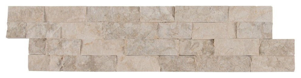 FOSSIL Limestone 6x24 Ledger Panel, Set of 32