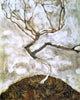 Egon Schiele A Tree in Late Autumn, Gallery Wrapped Canvas Print, 20"x25"
