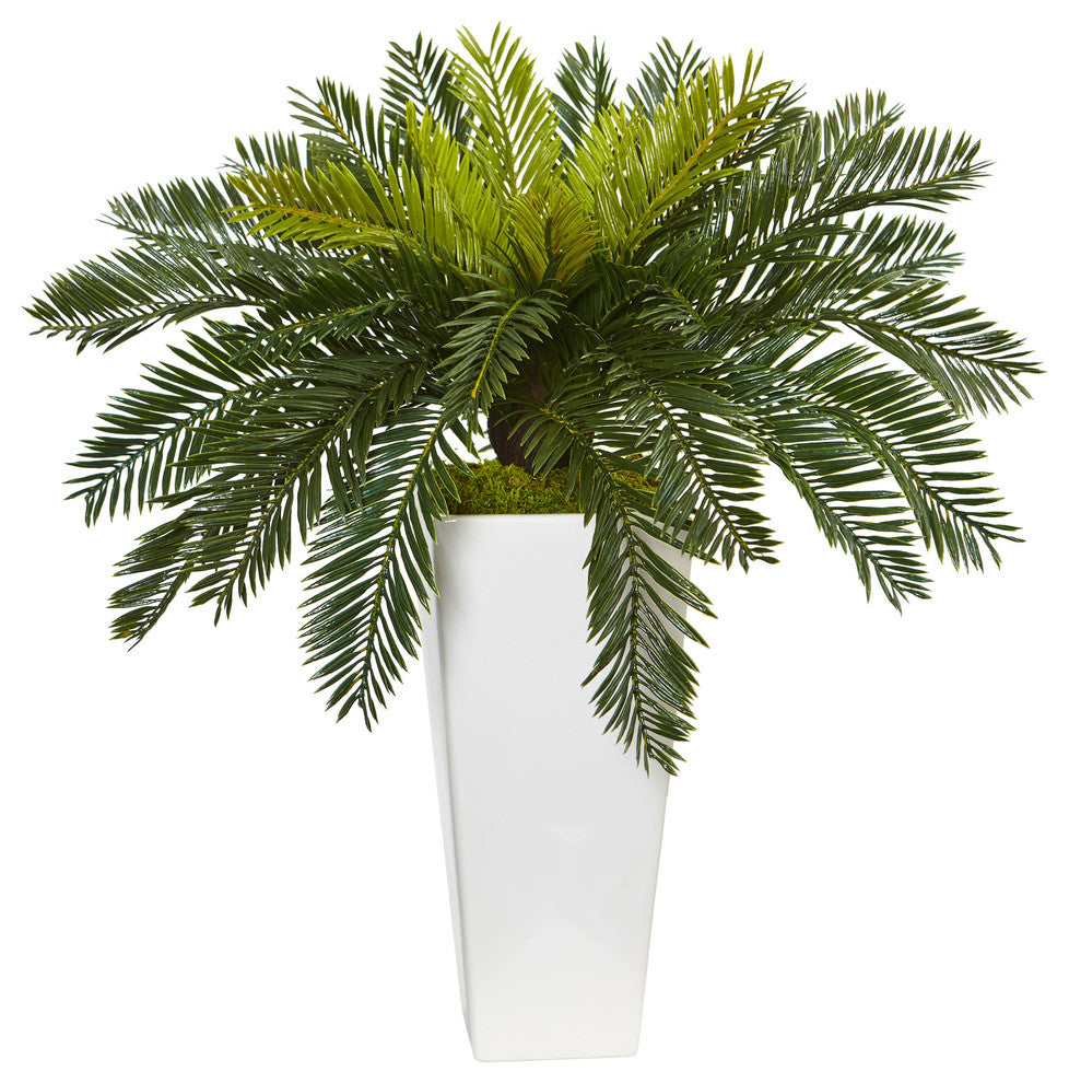 Cycas Artificial Plant, White Planter