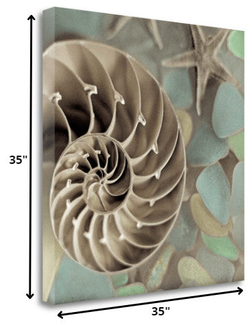 14" Snailshell and Seaglass 4 Giclee Wrap Canvas Wall Art