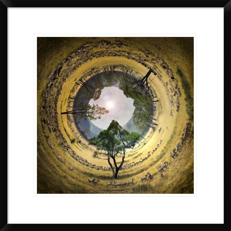 "Untitled" Framed Digital Print by Ghizzi Panizza Alberto, 24x24"