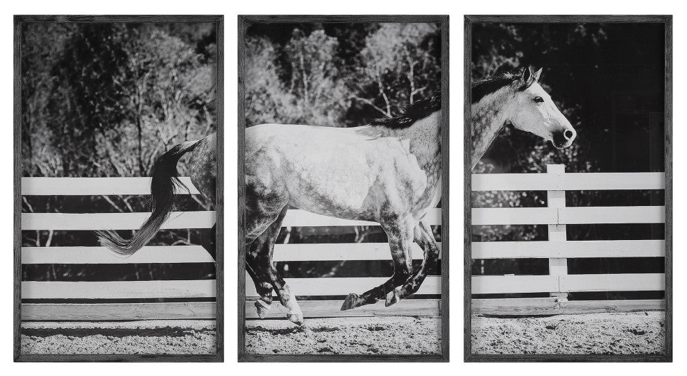 Uttermost Galloping Forward Equine Prints, Set of 3