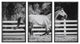 Uttermost Galloping Forward Equine Prints, Set of 3