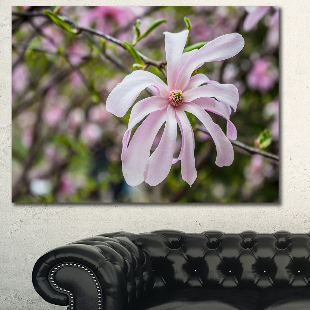 Beautiful Magnolia Flowers, Large Floral Canvas Art Print, 40"x30"