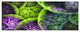 Green Pink Colorful Clouds, Abstract Canvas Art Print, 70"x28", 6 Panels