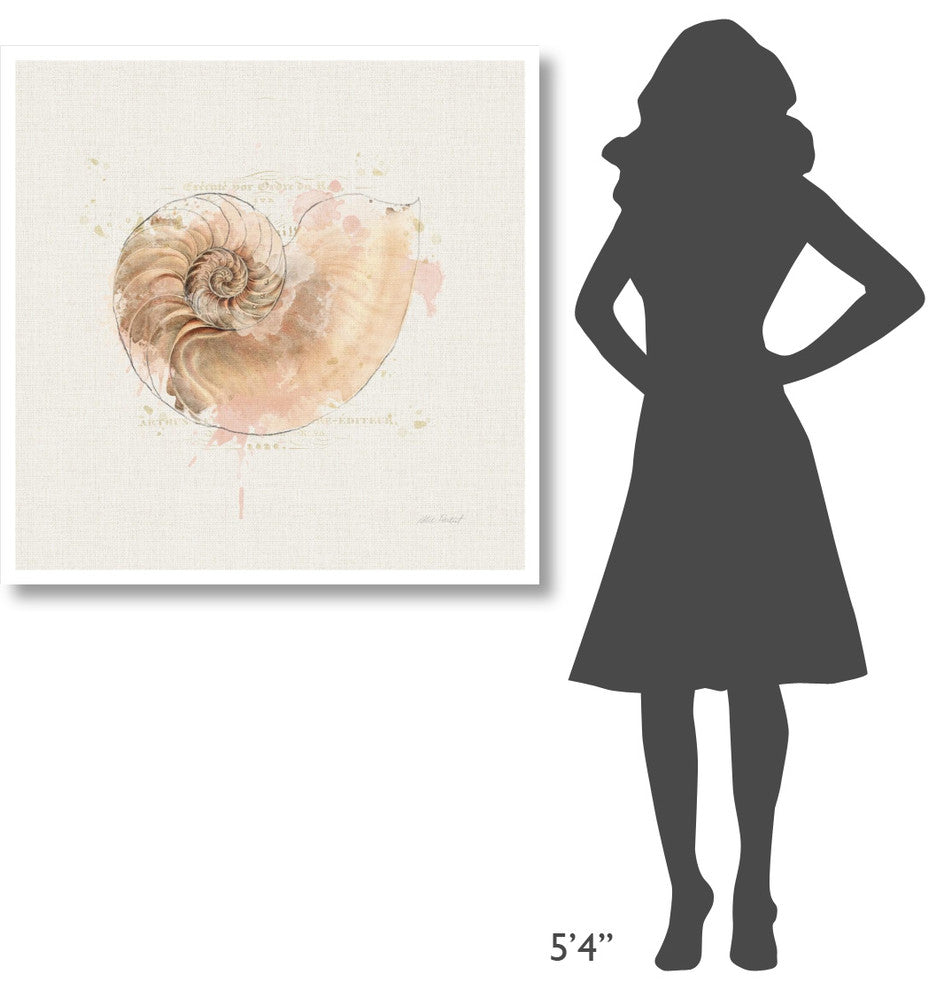 "Shell Collector II" Digital Paper Print by Katie Pertiet, 38"x38"