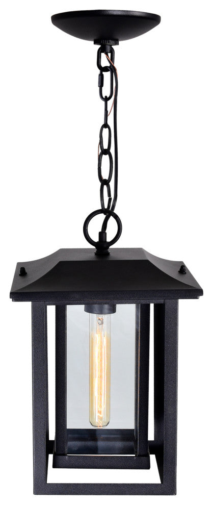 Winfield 1 Light Black Outdoor Hanging Light