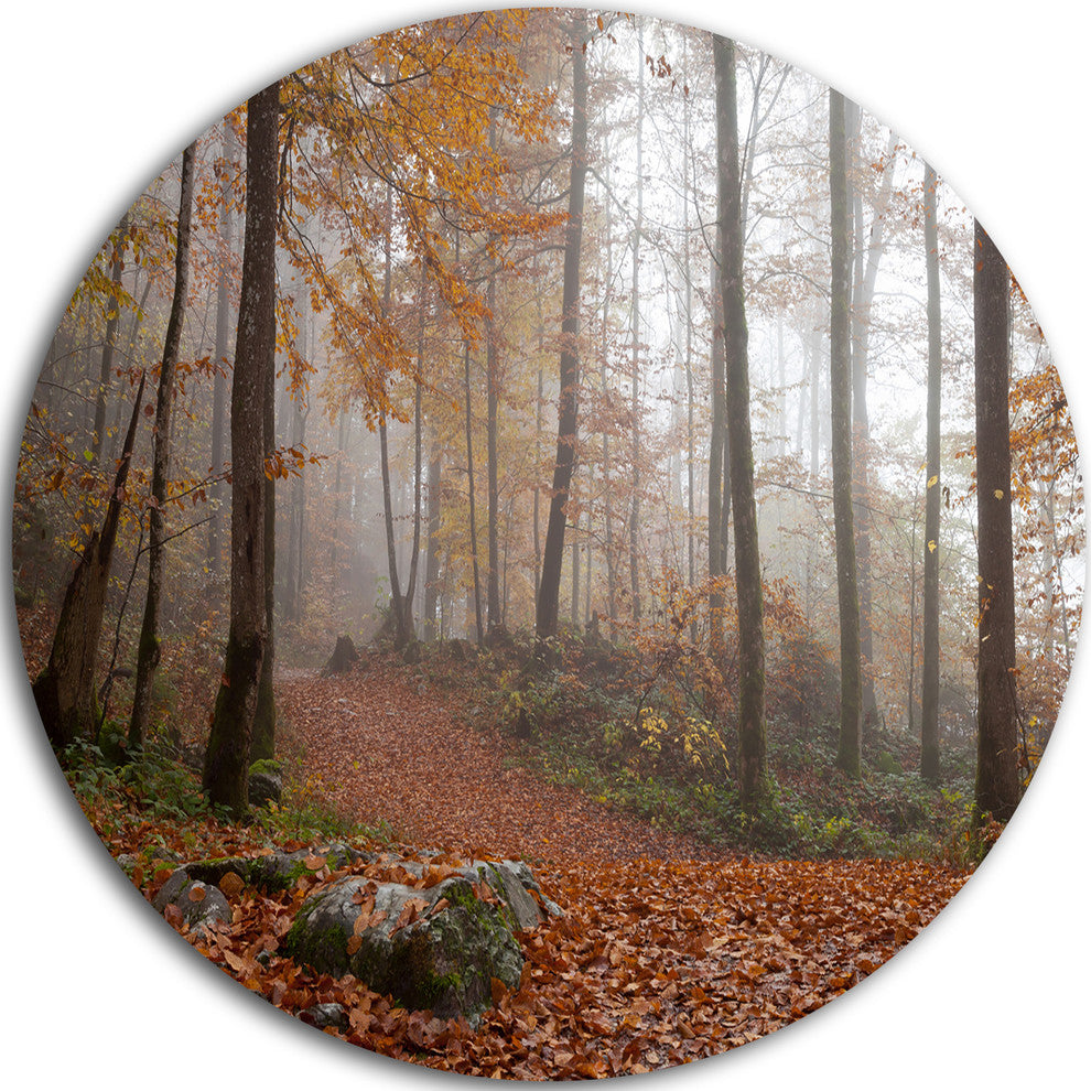 Autumn Forest In Germany, Landscape Photo Round Wall Art, 11"
