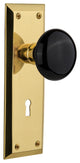 New York Plate Interior Mortise Black Porcelain Door Knob, Polished Brass