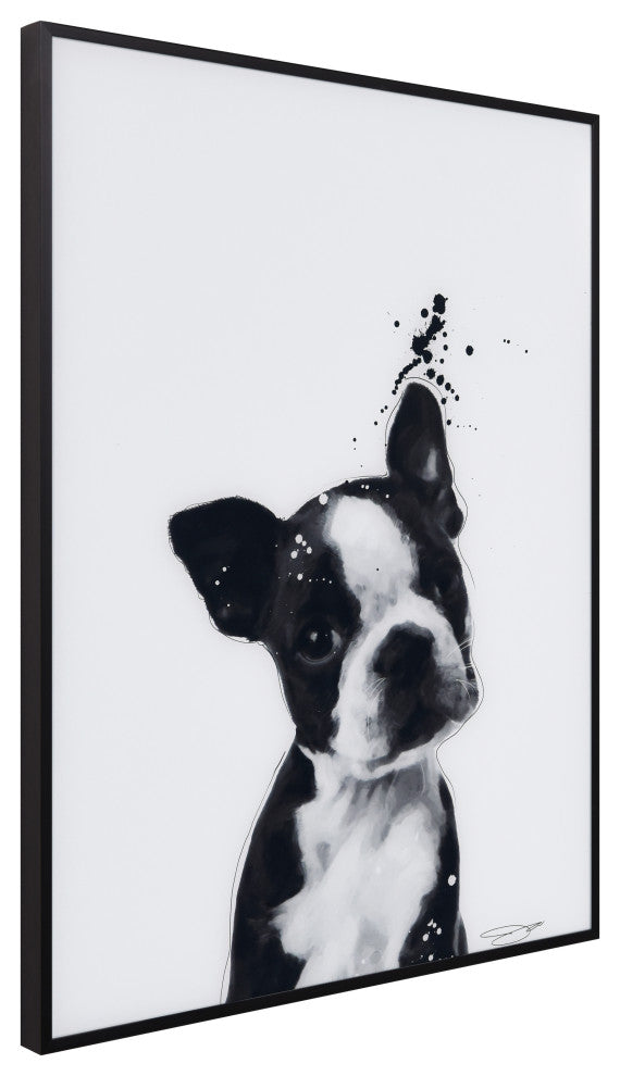 "Boston Terrier" Black and White Pet Art on Printed Glass with Anodized Frame