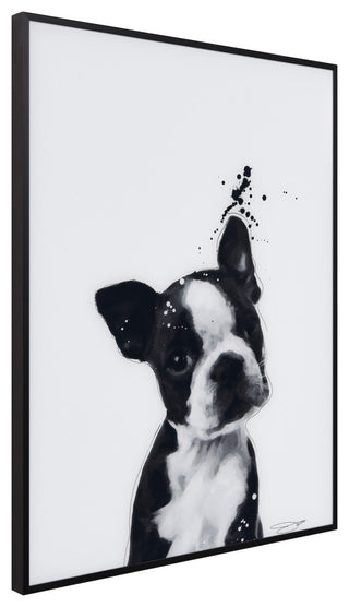 "Boston Terrier" Black and White Pet Art on Printed Glass with Anodized Frame
