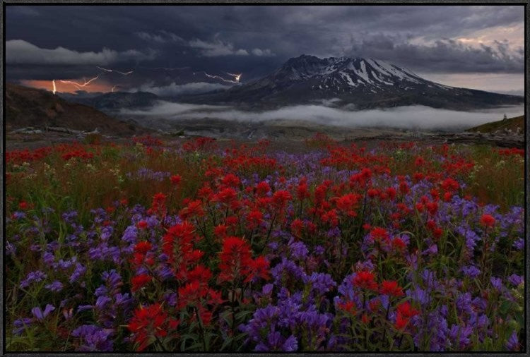 "Apocalypse Now" Framed Canvas Giclee by Miles Morgan, 37x25"