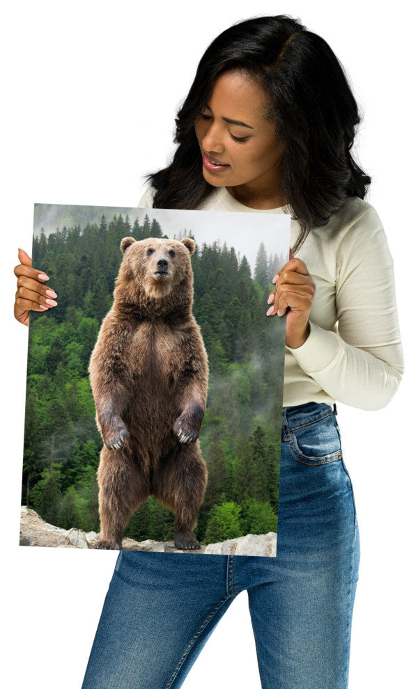 Big Standing Brown Bear On Mountain Top Loose Wall Art Print, 12" X 16"