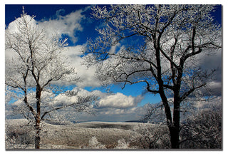 'Mountain View' Canvas Art by Lois Bryan