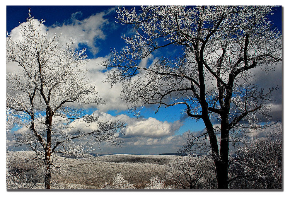 'Mountain View' Canvas Art by Lois Bryan