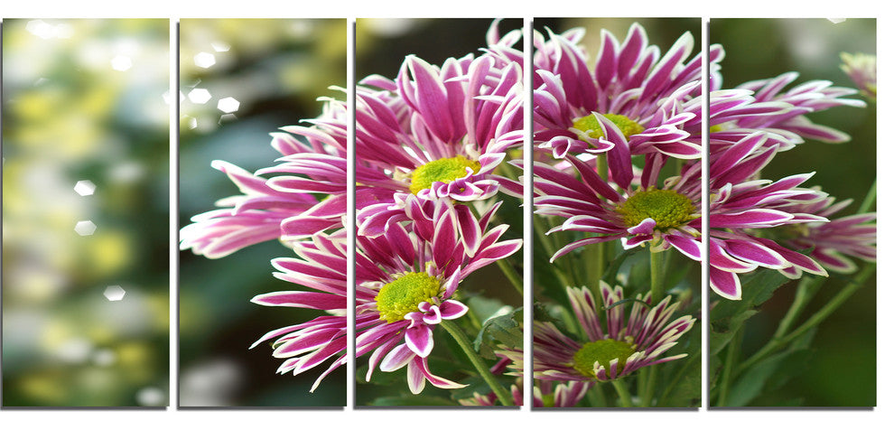 Purple Chrysanthemum Flower, Floral Canvas Art Print, 60"x28", 5 Panels