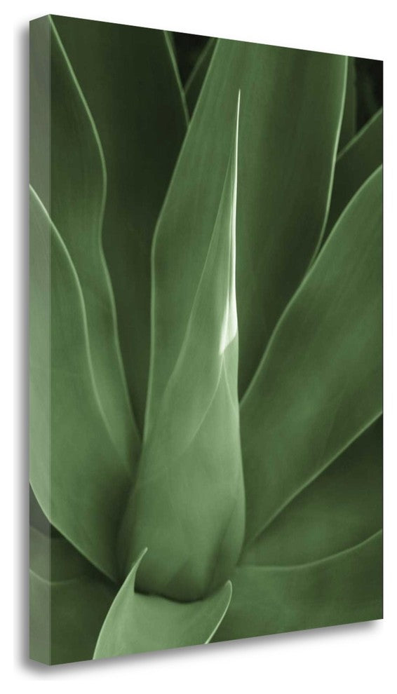 "Tropica III" By Jeff, Giclee Print on Gallery Wrap Canvas, Ready to Hang