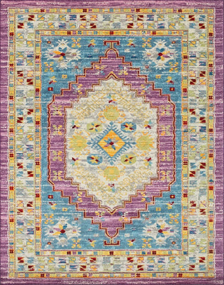 Noori Rug Distressed Hester Grey/Purple Rug