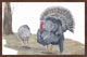 "Strutting Turkey" Framed Painting Print, 30"x20"