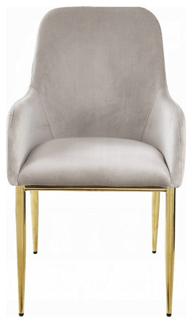 ACME Barnard Side Chair, Set of 2, Gray Velvet and Mirrored Gold