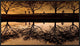 "Kintyakuta" Framed Canvas Giclee by Kouji Tomihisa, 31x18"