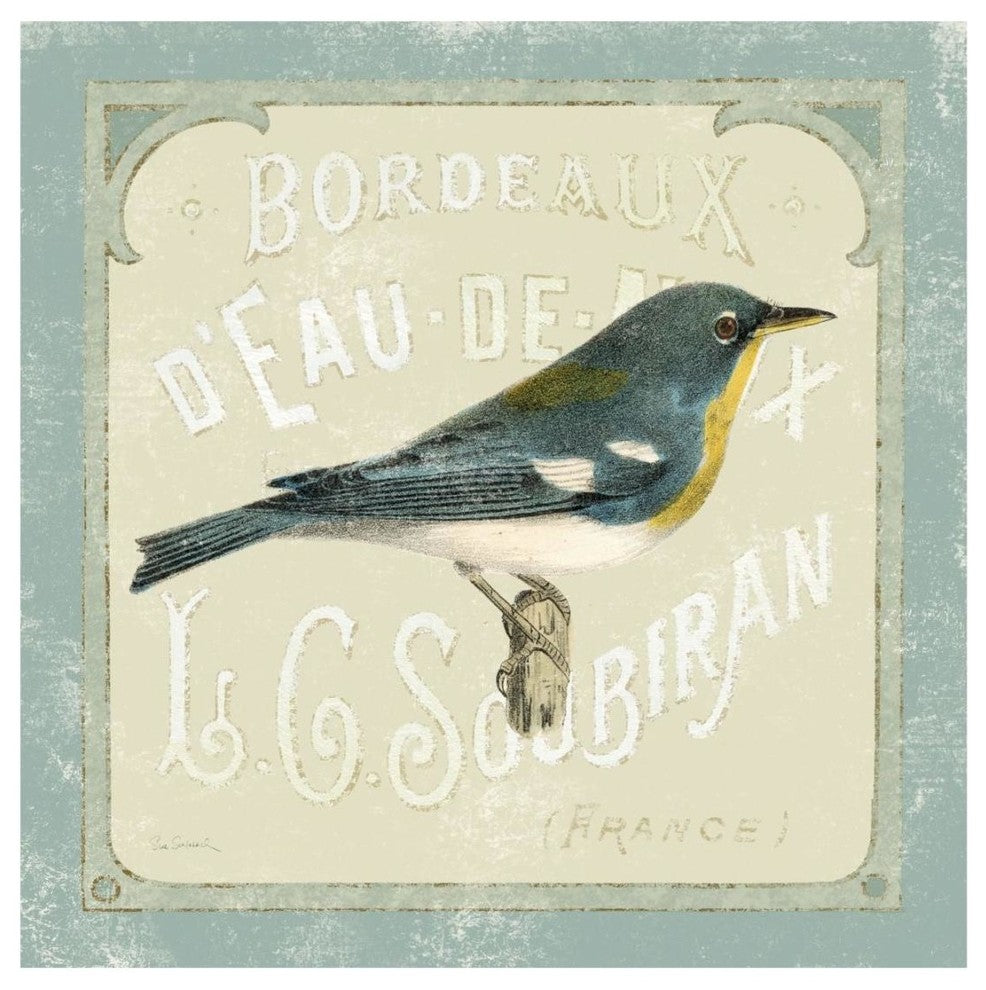 "Parisian Bird I" Digital Paper Print by Sue Schlabach, 20"x20"