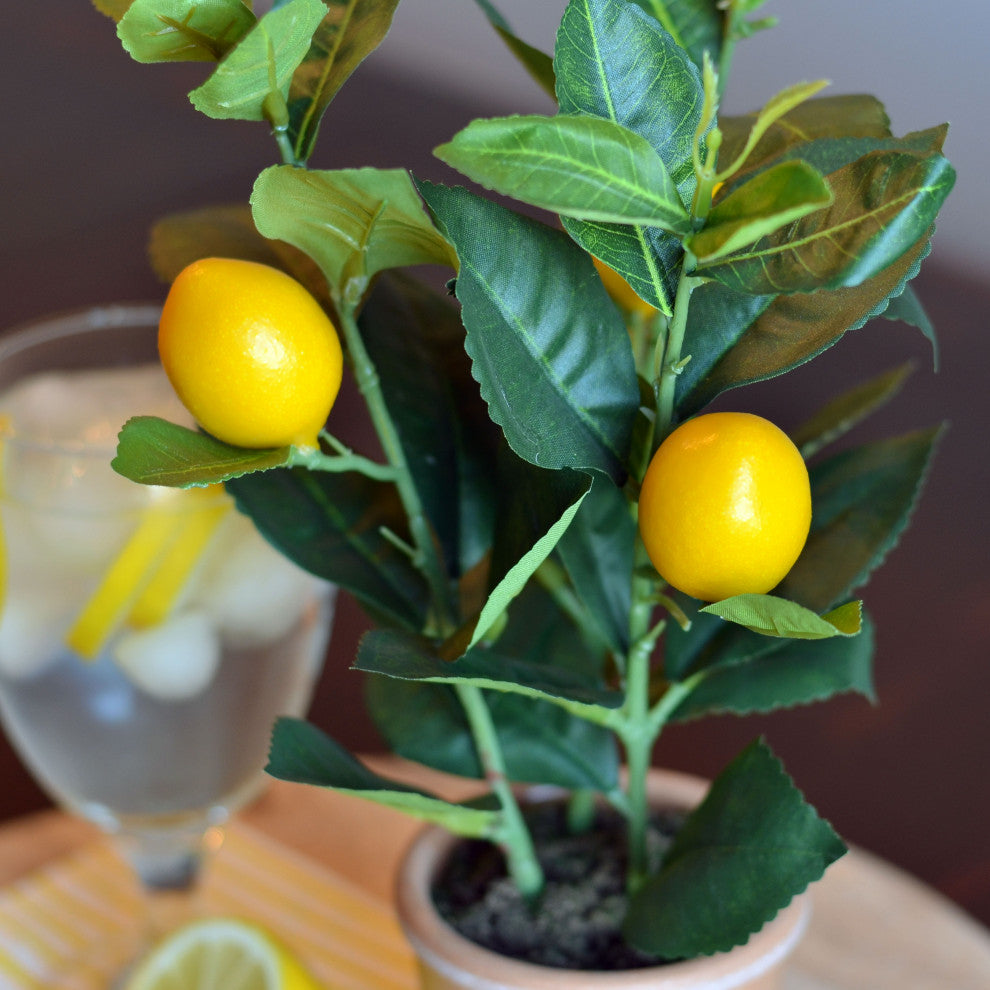 Potted Lemon Topiary Tree , 12.5 Inches
