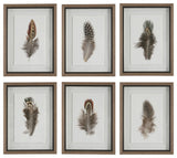 Uttermost Birds Of A Feather Framed Prints, Set of 6