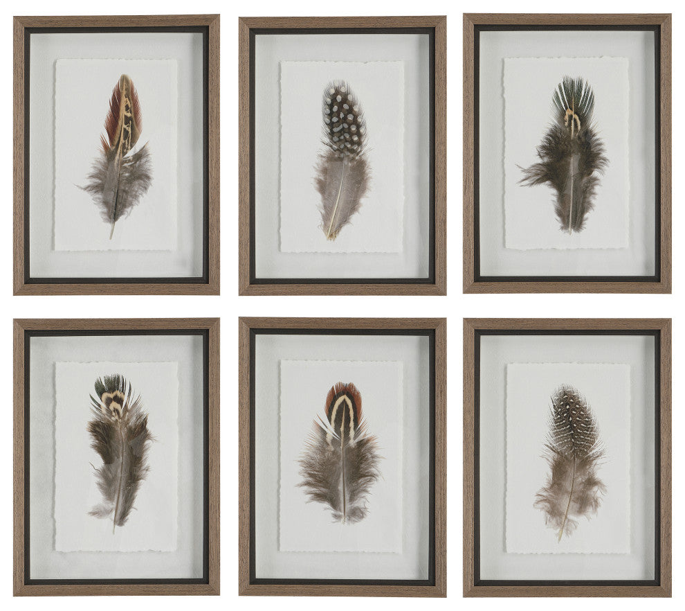 Uttermost Birds Of A Feather Framed Prints, Set of 6