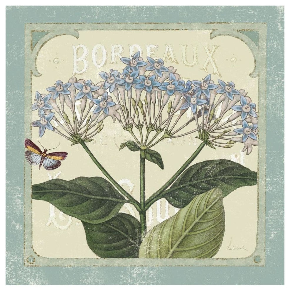 "Parisian Flowers I" Digital Paper Print by Sue Schlabach, 32"x32"