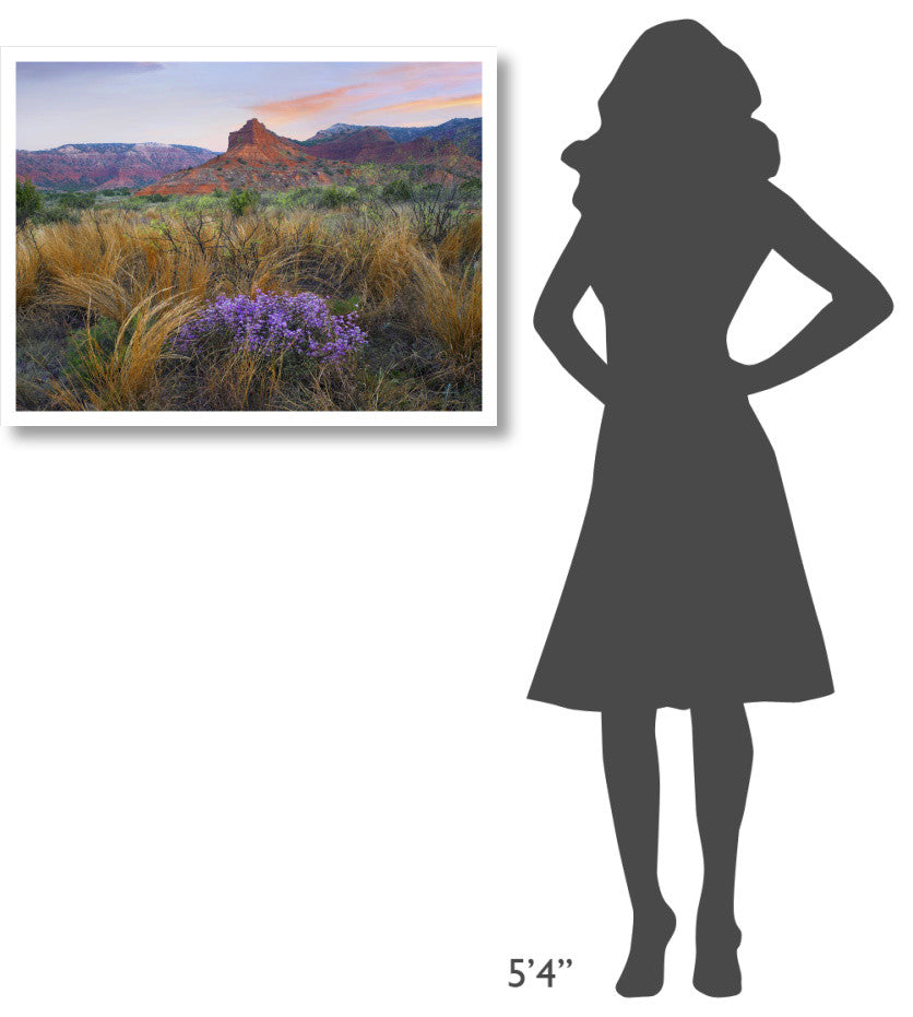 "Caprock Canyons State Park, Texas" Paper Print by Tim Fitzharris, 34"x26"