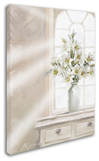 The Macneil Studio 'Soothing Light' Canvas Art, 47"x35"