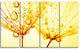 Dandelion Seeds with Water Drops, Floral Canvas Art Print, 48"x28", 4 Panels