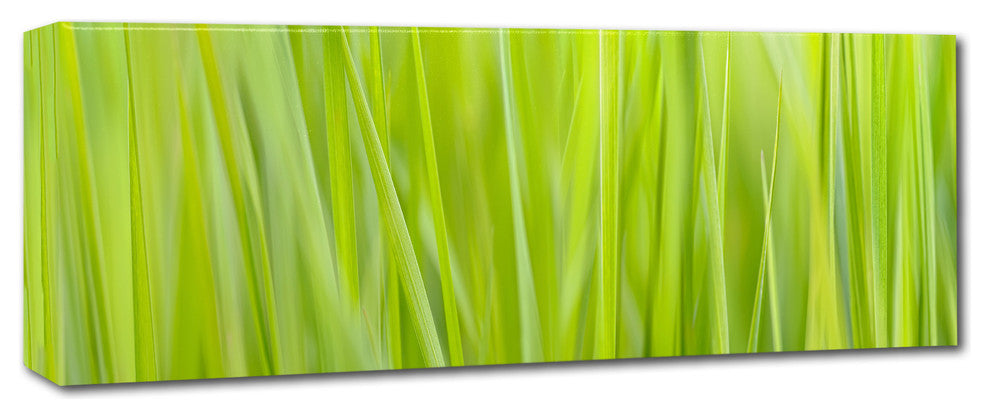 Cora Niele ''Green Grass Scape'' Canvas Art