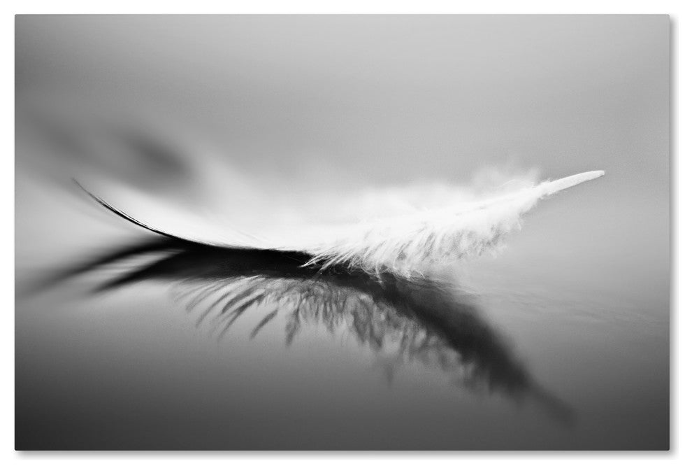 Olinda Coutinho 'White' Canvas Art, 12x19