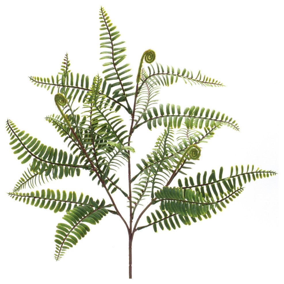 Fern Spray, Set of 6