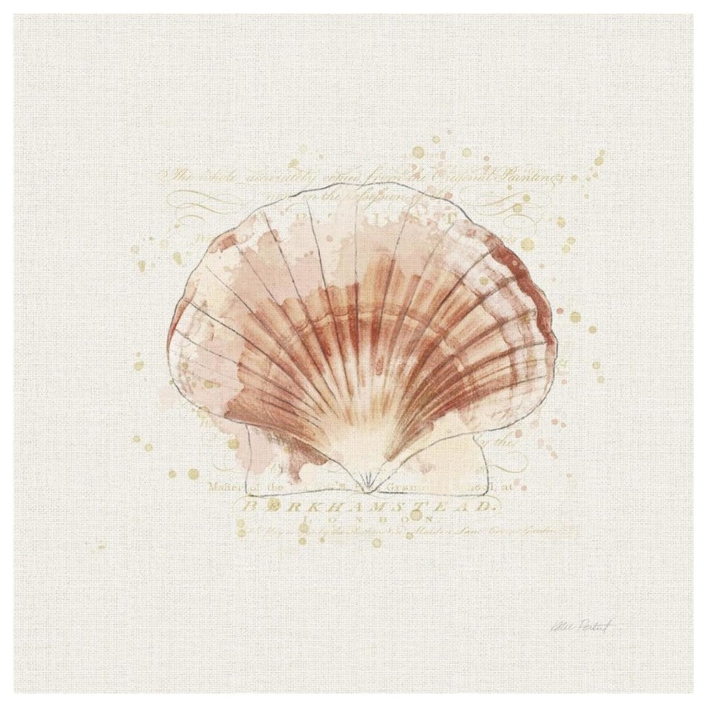 "Shell Collector IV" Digital Paper Print by Katie Pertiet, 42"x42"