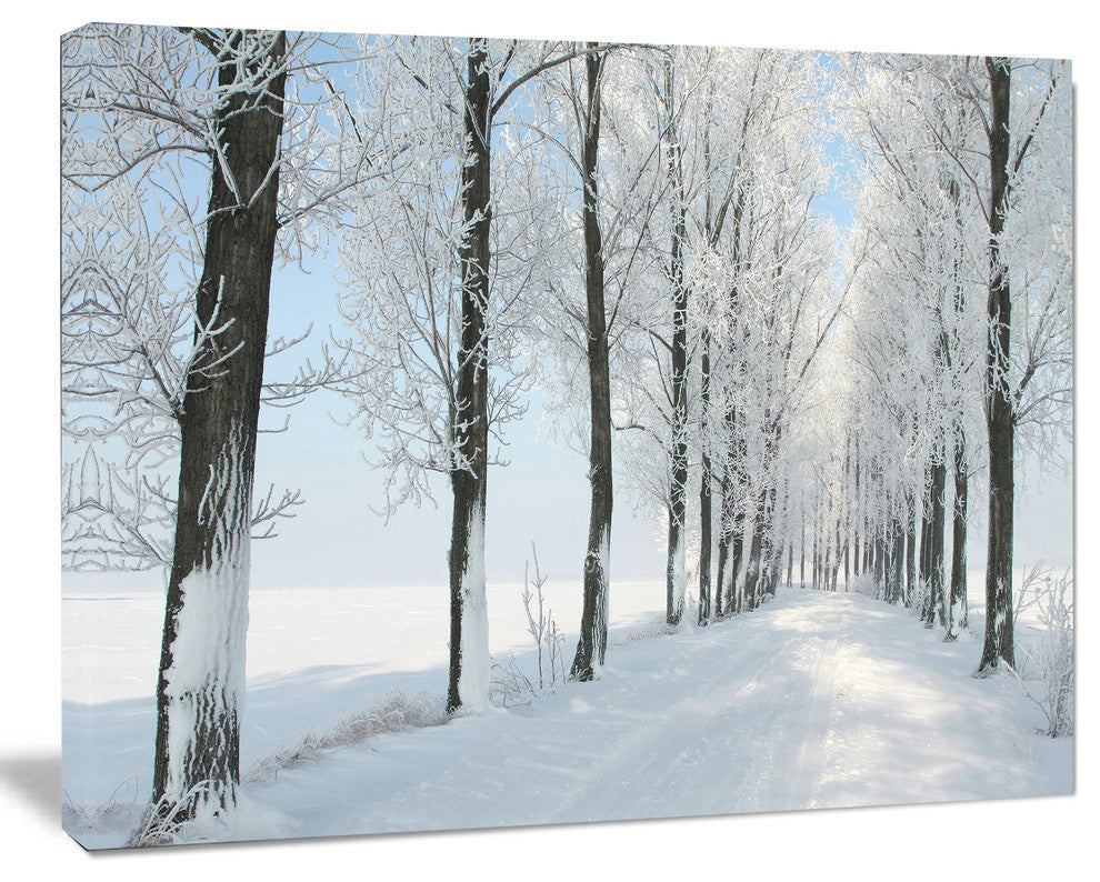 Beautiful Winter Forest Lane Photo, Large Forest Canvas Art Print, 40"x30"