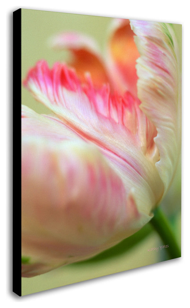 ''Tender'' Canvas Art by Kathy Yates