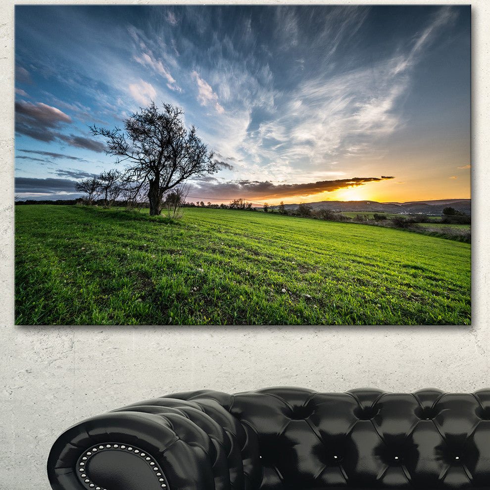 Green Grass Field in Sardinia, Landscape Canvas Art Print, 60"x28"