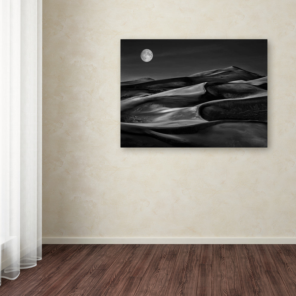 Yvette Depaepe 'The Night Walked Down The Sky ' Canvas Art, 24x18