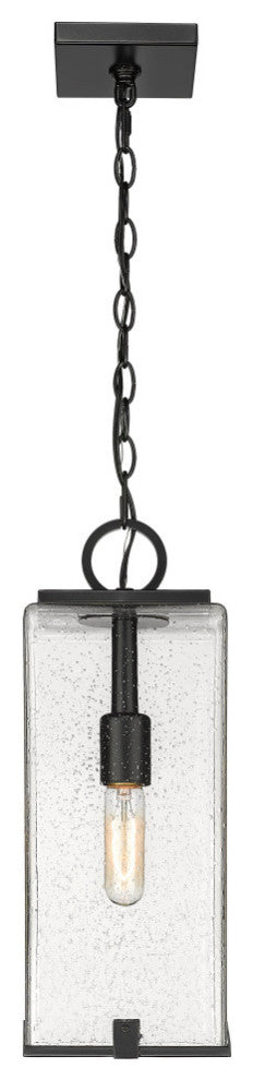 Zlite 592CHM-BK 1-Light Outdoor Chain Mount Ceiling Fixture, Seedy