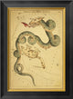 "Draco and Ursa Minor, 1825" Framed Canvas Giclee by Jehoshaphat Aspin, 16x22"