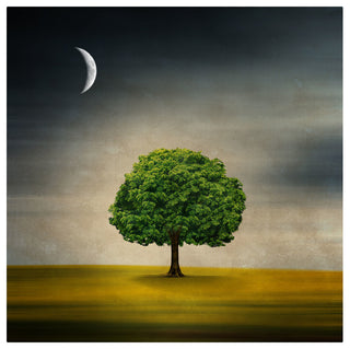 'Under the Moon' Canvas Art by Philippe Sainte-Laudy