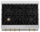 ZLINE 36" Rangetop, DuraSnow With Champagne Bronze Accents RTSZ-36-CB