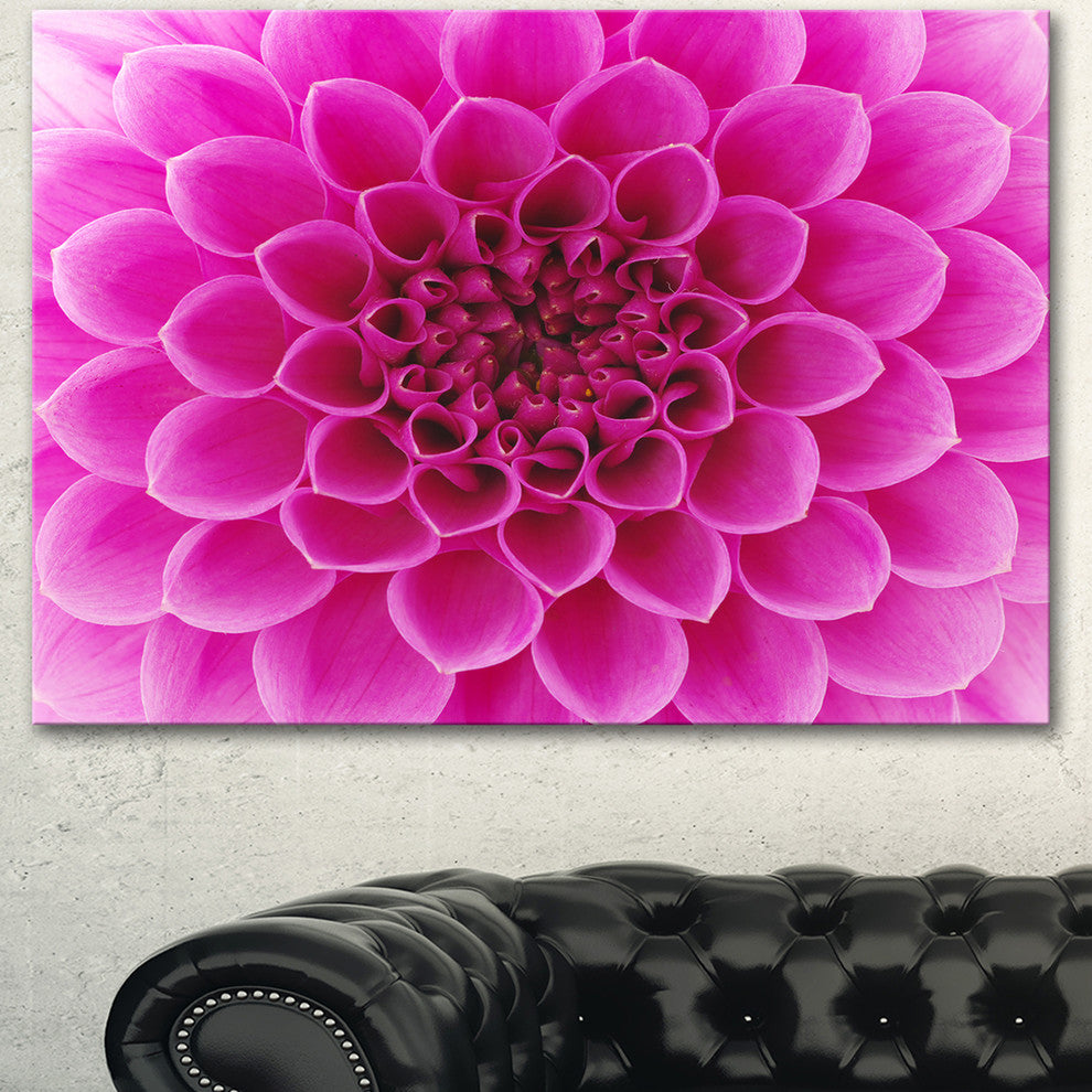 Large Pink Flower and Petals, Floral Canvas Art Print, 40"x30"