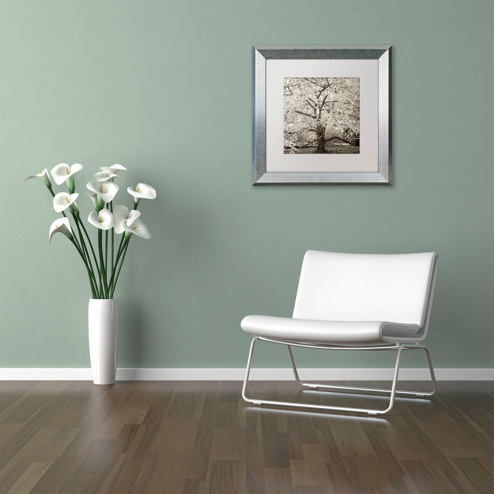 Alan Blaustein ''Hampton Magnolia II'' Art, Silver Frame, White Mat, 16x16