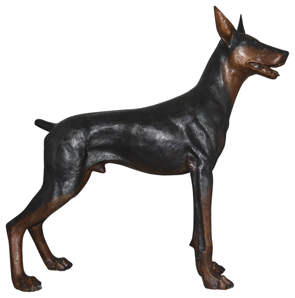 Doberman Dog Bronze Statue -  Size: 36"L x 9"W x 38"H.
